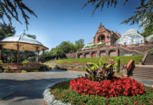 Discover the best places to go walking near Newport