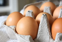 Food Hygiene Experts Issue Warning Following UK Salmonella Outbreak