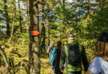 Caerphilly DofE participants contribute more than 4,400 volunteering hours