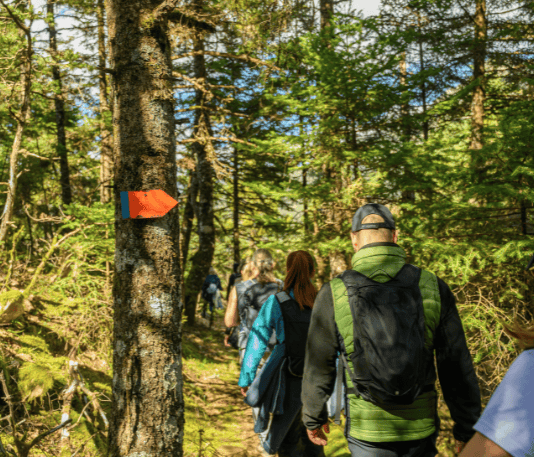 Caerphilly DofE participants contribute more than 4,400 volunteering hours