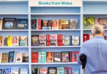 Ehangu mynediad i ddiwylliant Cymru: £550,000 i gefnogi prosiectau amgueddfeydd, archifau a llyfrgelloedd